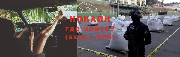 твердый Бородино