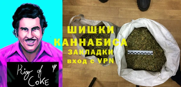 твердый Бородино